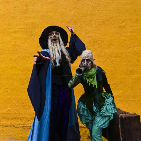 two people dressed as wizards posing in front of orange back drop