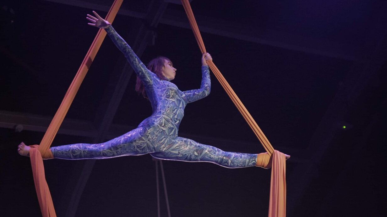 girl hanging from silks in held position