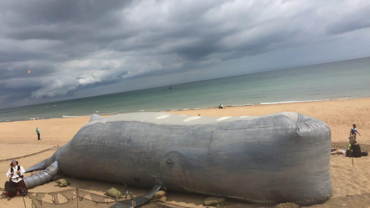 Whale beach Ramsgate – Catherine Elliott alt