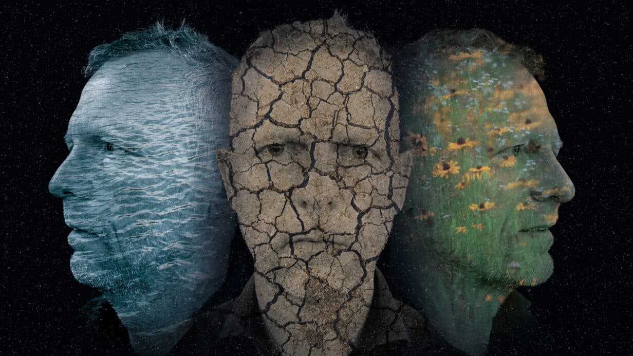Picture of three heads each with different textures on them