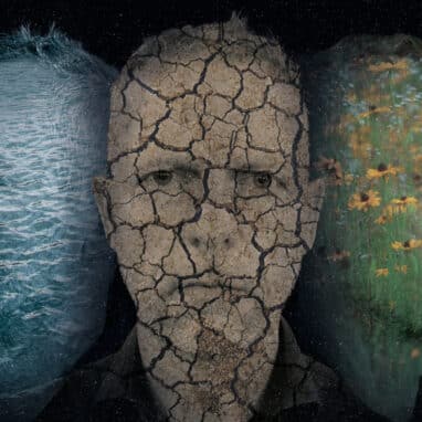Picture of three heads each with different textures on them