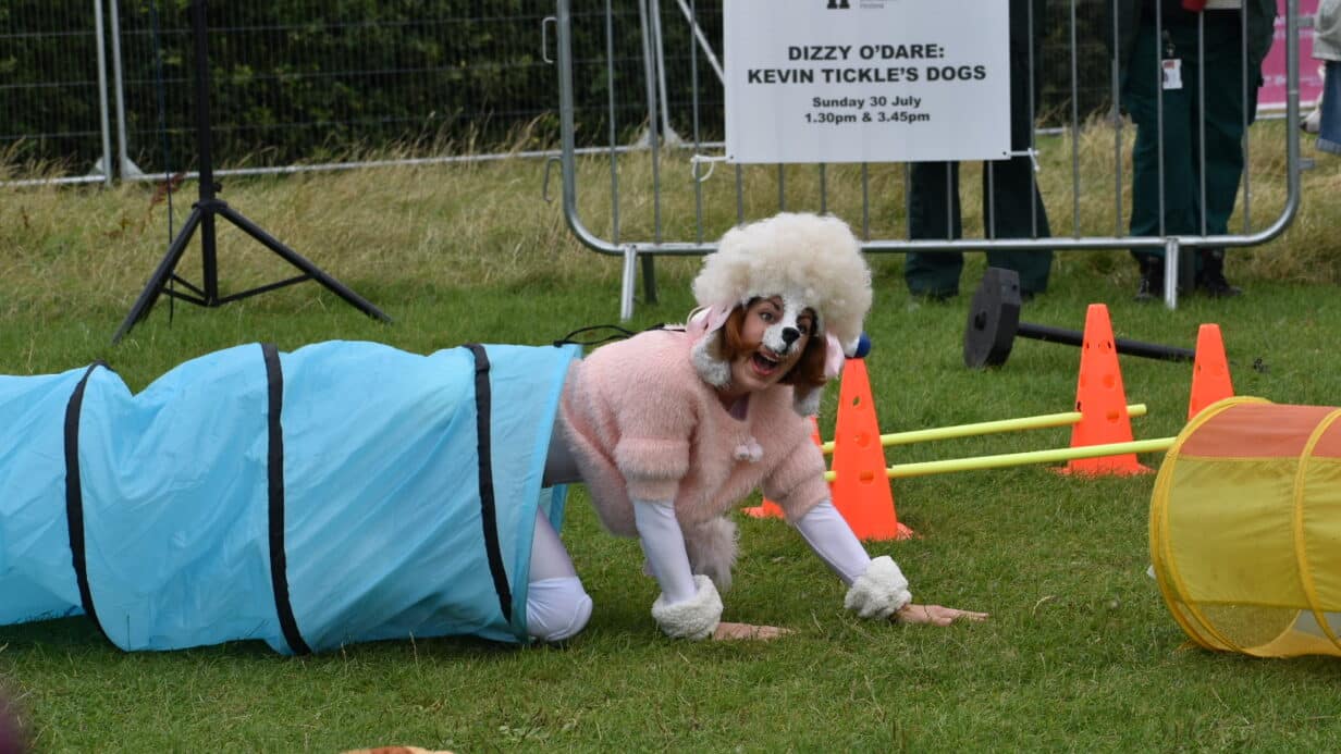 Person dressed as a poodle crawling out of a dog tunnel