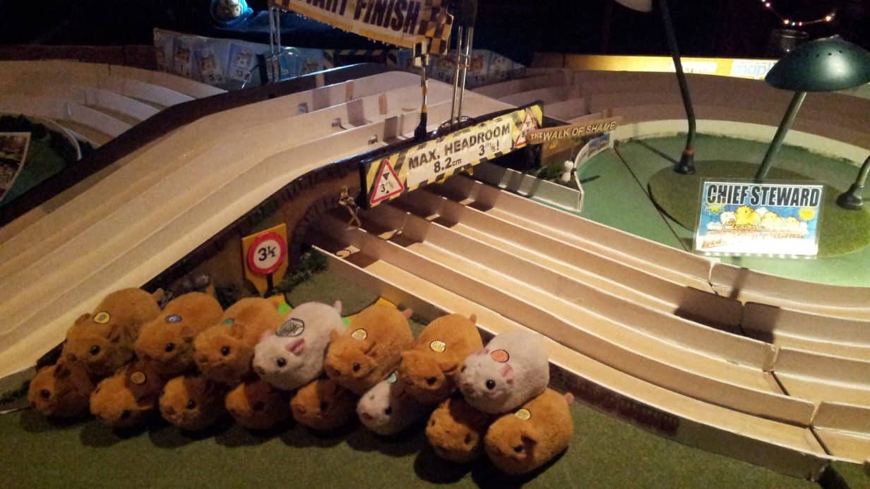 electric hamster race track