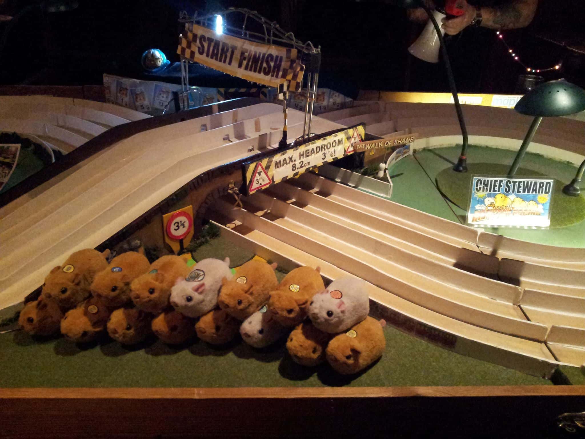 View of Willow Phoenix - Electric Hamster Racing — Out There Arts