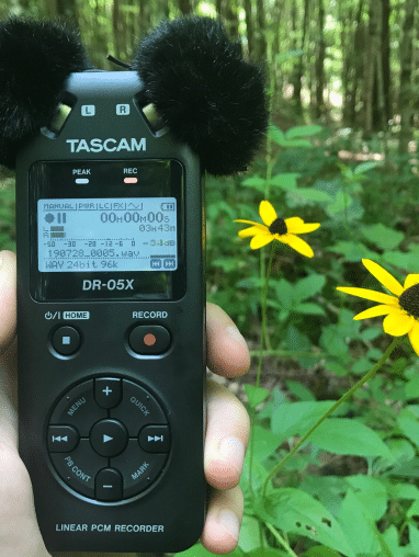 Tascam recorder in a woodland with flowers