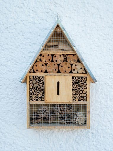 Bug hotel