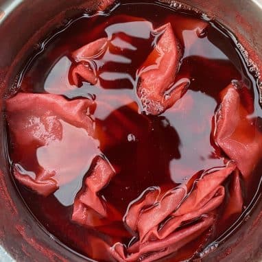 Fabric being dyed red