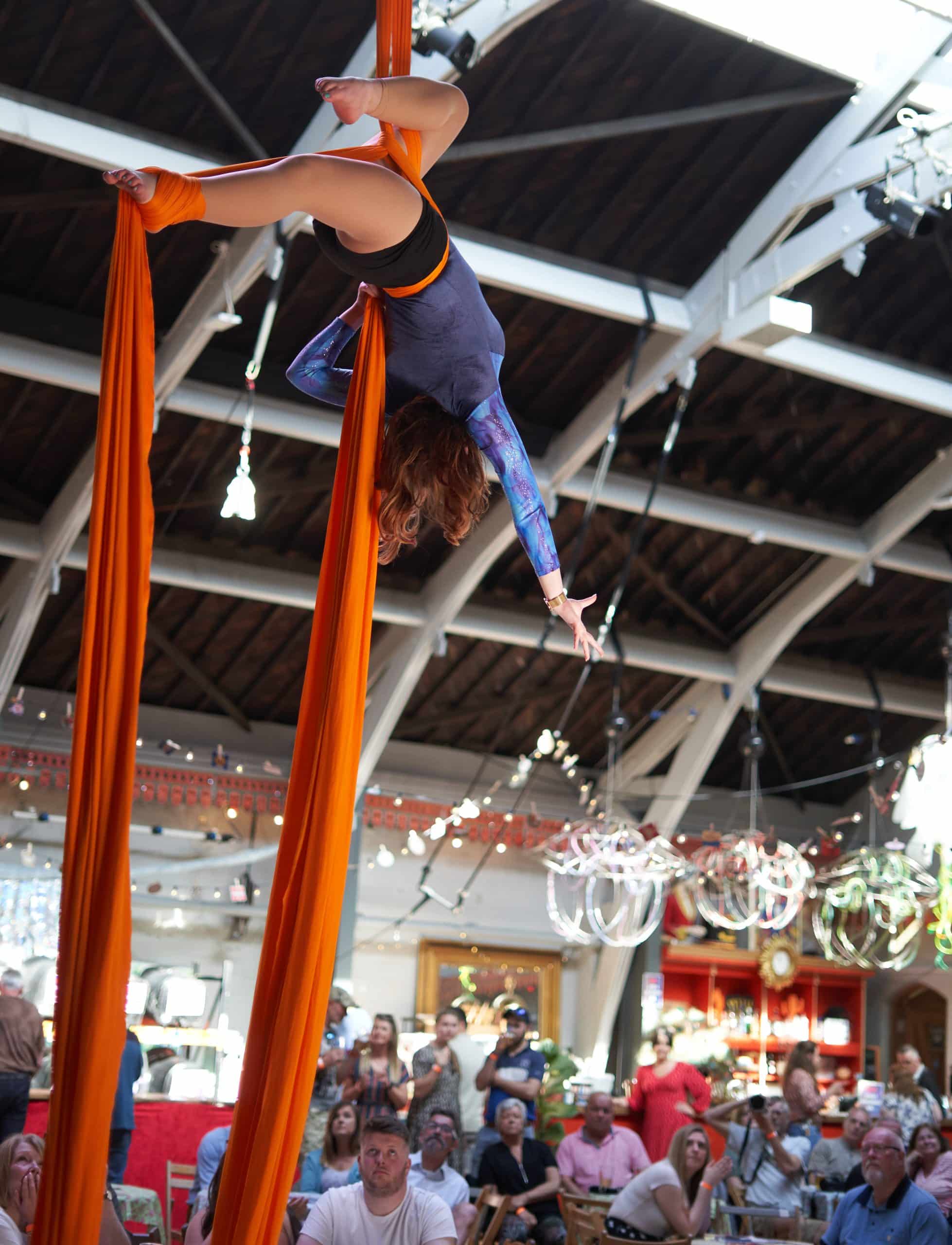 Aerial silks performer