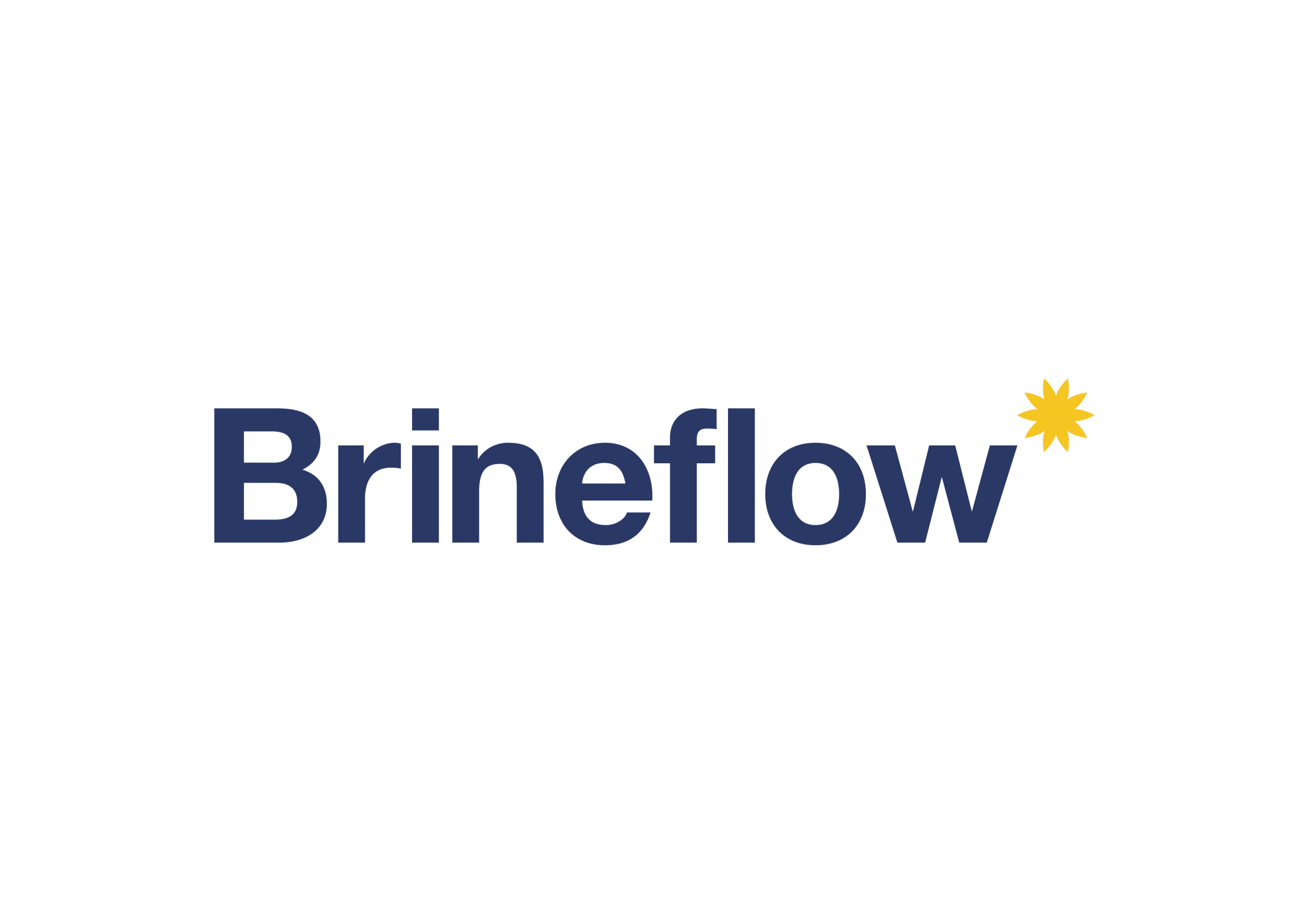 Brineflow logo