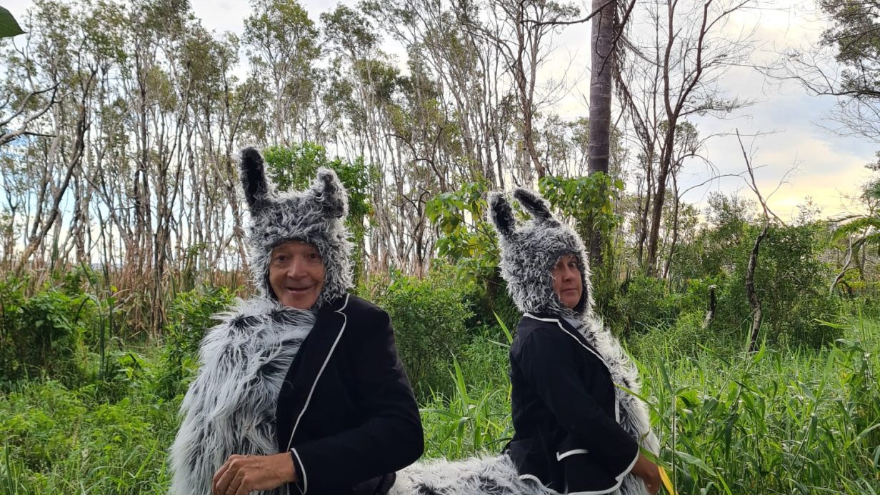 Man and woman dressed as a two headed llama