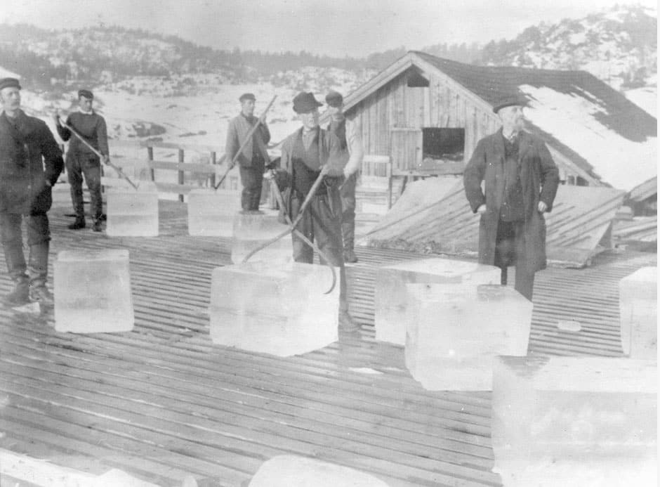 Black and white photo of people cutting ice