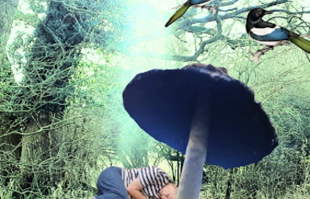 Lady lying on the floor under a mushroom and some magpies