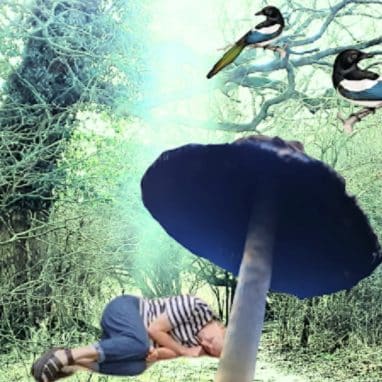 Lady lying on the floor under a mushroom and some magpies
